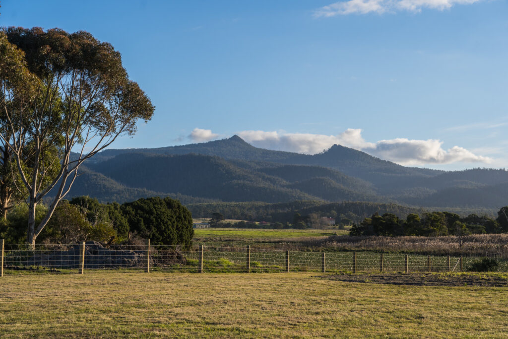 Sold - 75 Grant Street - New Property in Falmouth - Real Estate by Josh Hart