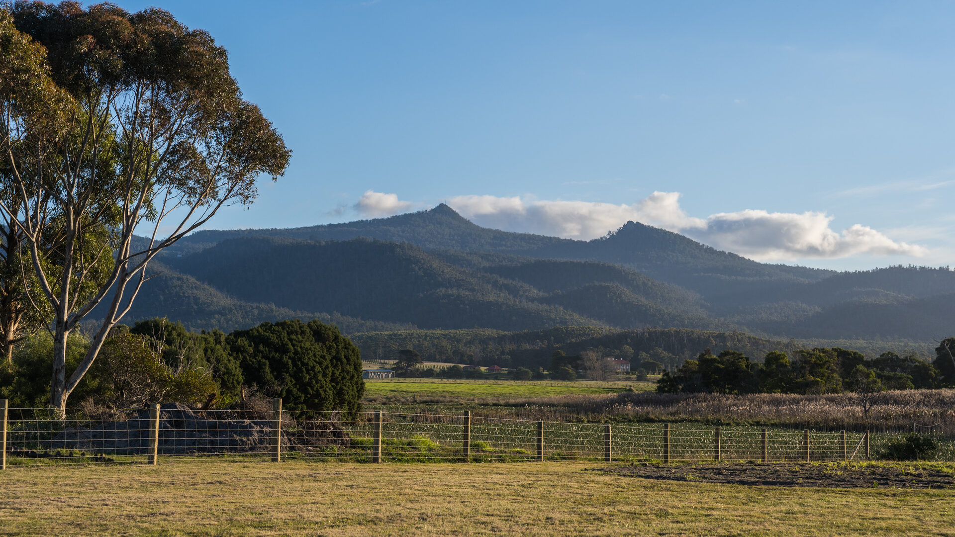 Sold - 75 Grant Street - New Property in Falmouth - Real Estate by Josh Hart