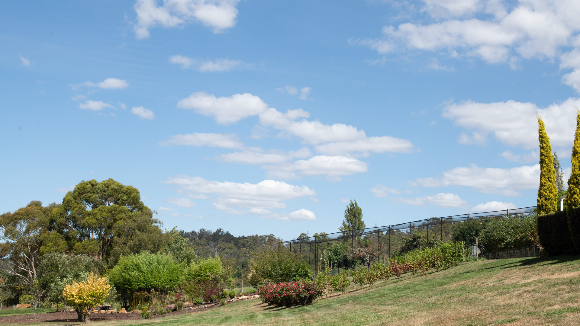 Sold - 18 Danbury Drive - New Property in Legana - Real Estate by Josh Hart
