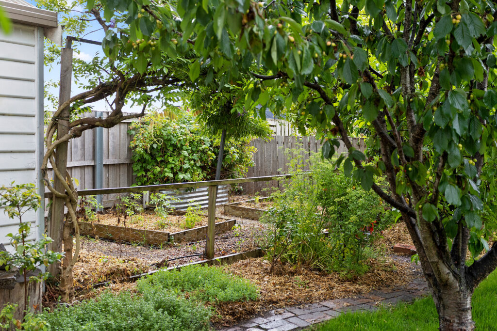 Sold - 7 Esther Street - New Property in West Launceston - Real Estate by Josh Hart