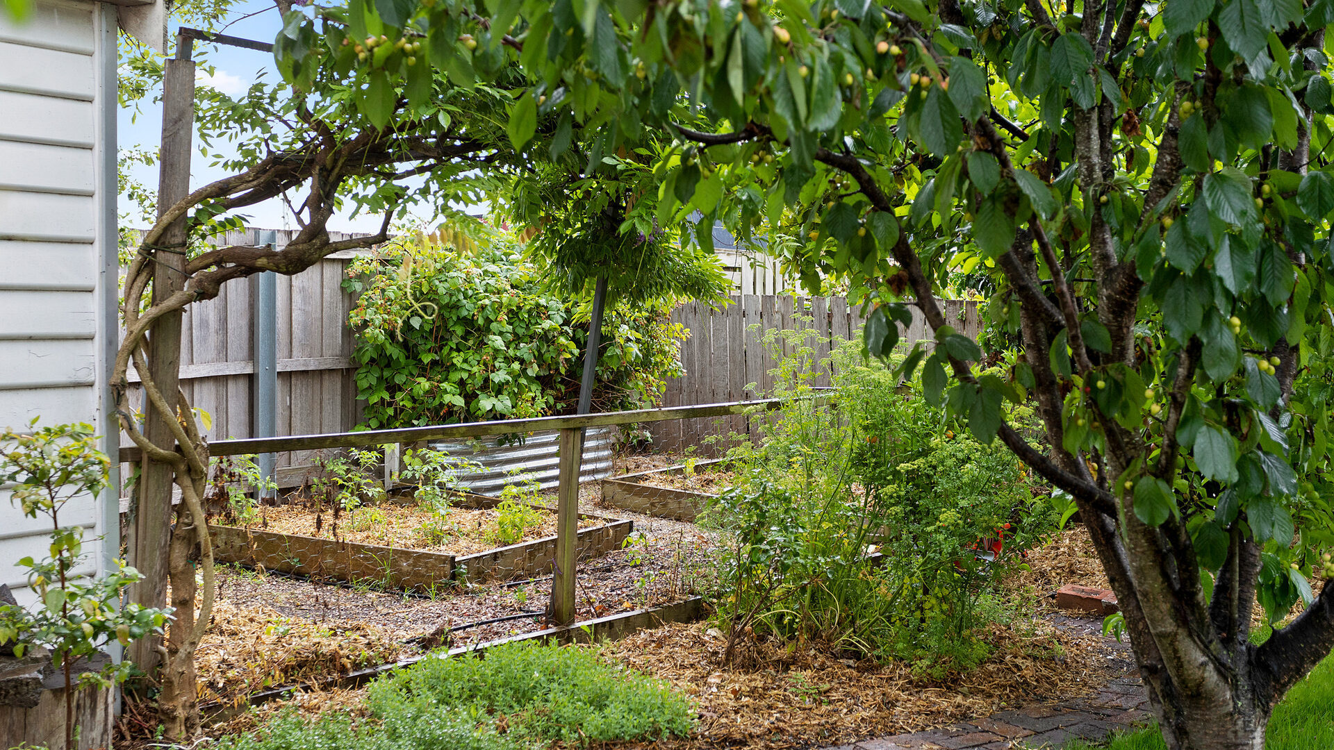 Sold - 7 Esther Street - New Property in West Launceston - Real Estate by Josh Hart