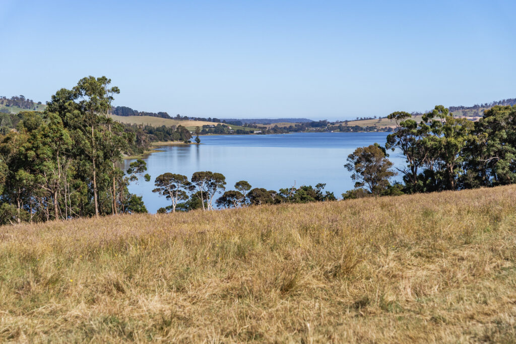 Sold - 21 Charliemay Court - New Property in Legana - Real Estate by Josh Hart
