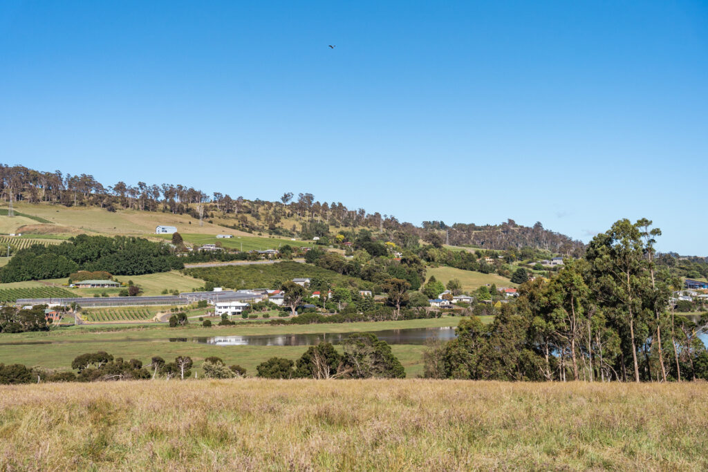 Sold - 21 Charliemay Court - New Property in Legana - Real Estate by Josh Hart