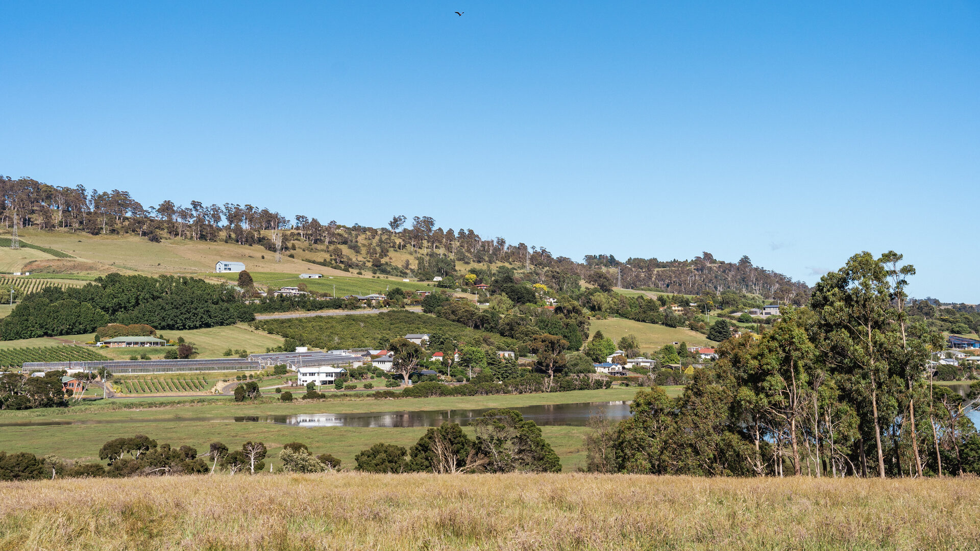 Sold - 21 Charliemay Court - New Property in Legana - Real Estate by Josh Hart
