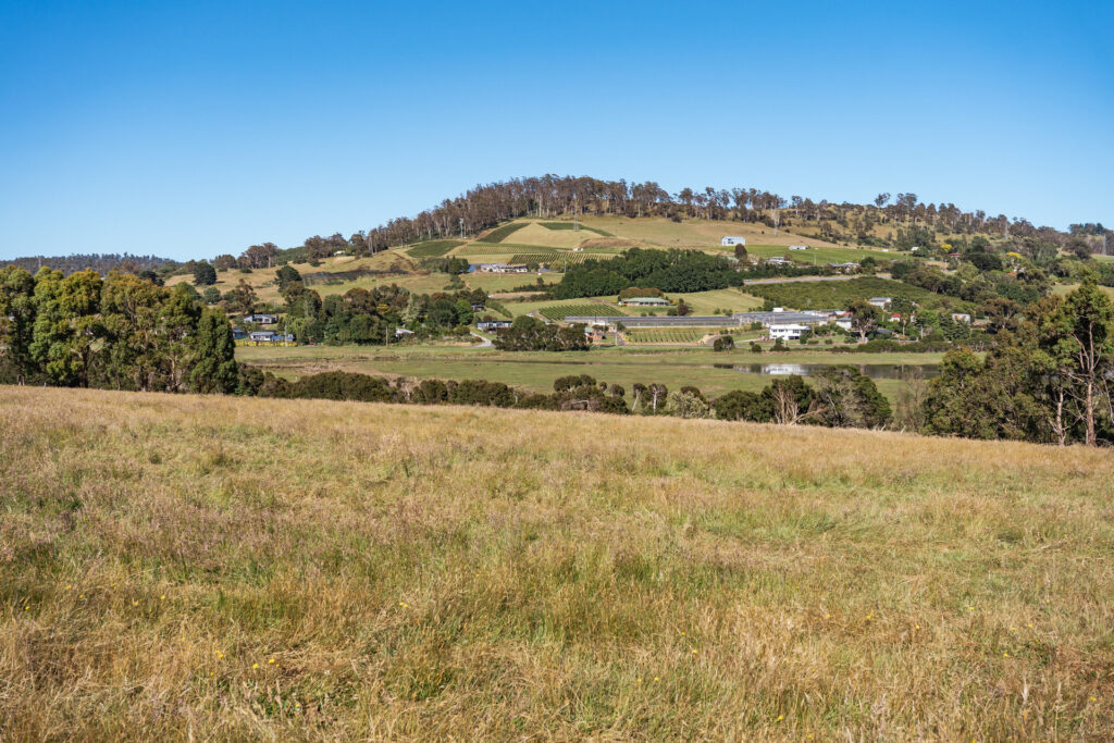 Sold - 21 Charliemay Court - New Property in Legana - Real Estate by Josh Hart