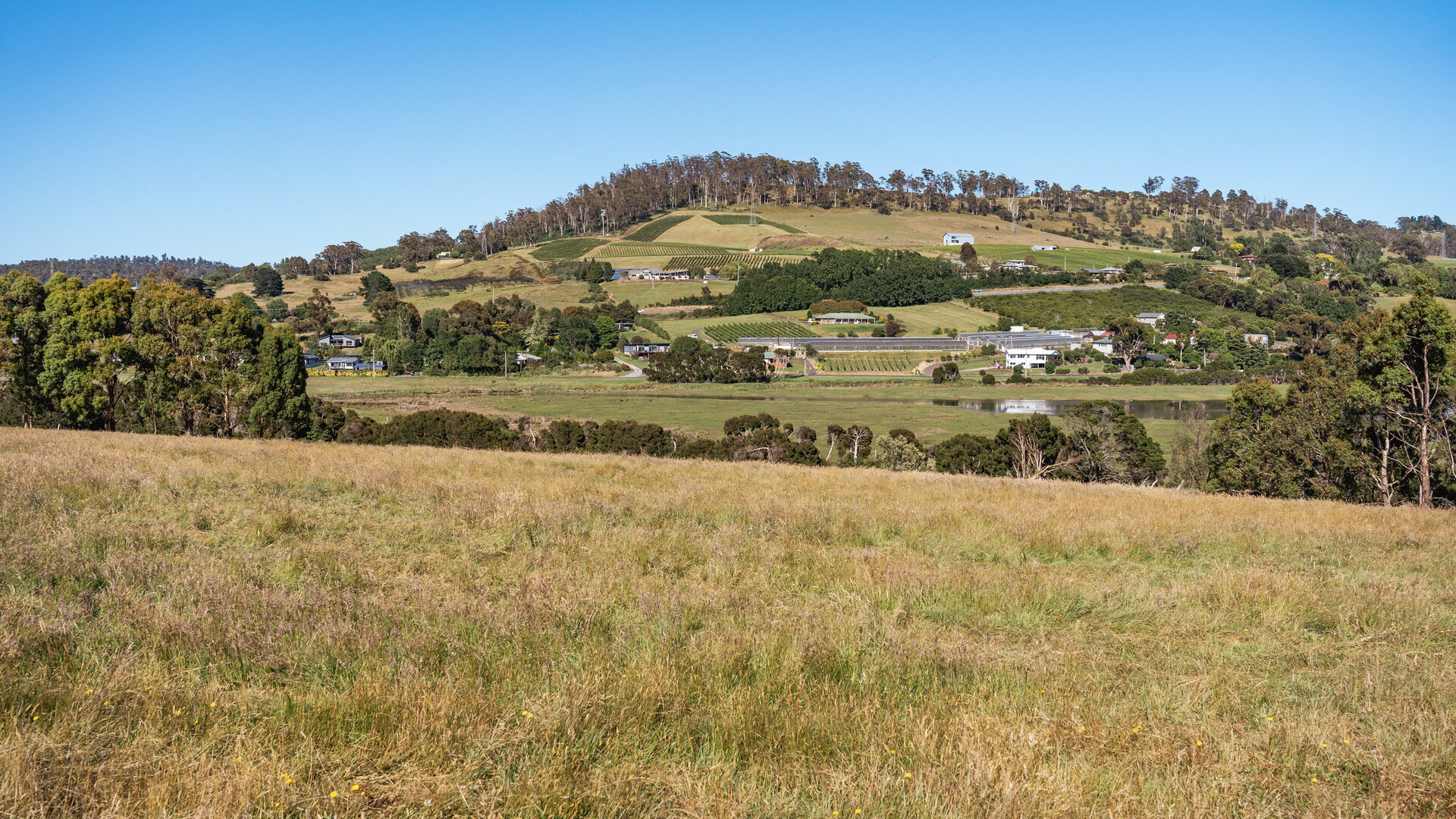 Sold - 21 Charliemay Court - New Property in Legana - Real Estate by Josh Hart