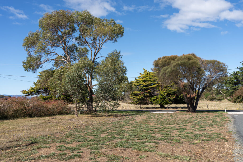 Sold - 30 Francis Street - New Property in Swansea - Real Estate by Josh Hart
