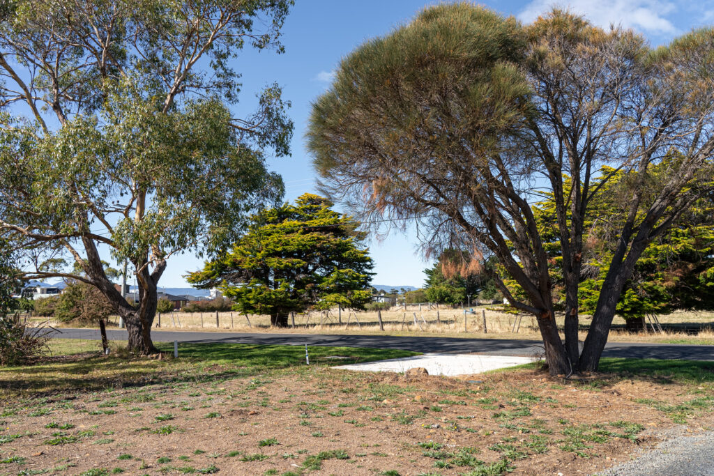 Sold - 30 Francis Street - New Property in Swansea - Real Estate by Josh Hart