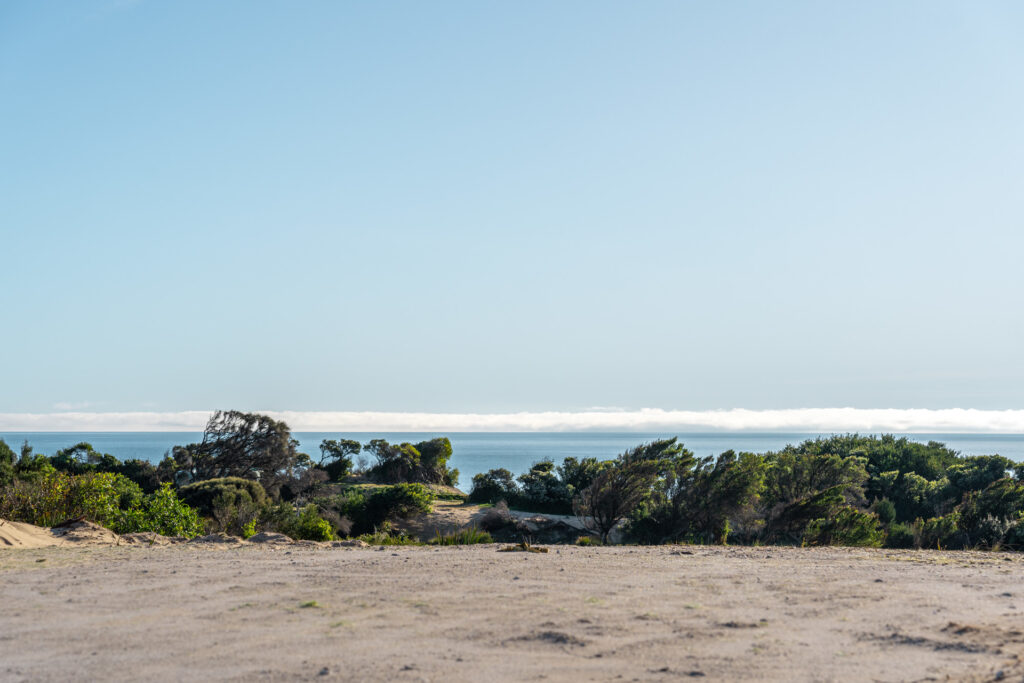 Sold - 9 Beachcomber Place - New Property in Lulworth - Real Estate by Josh Hart