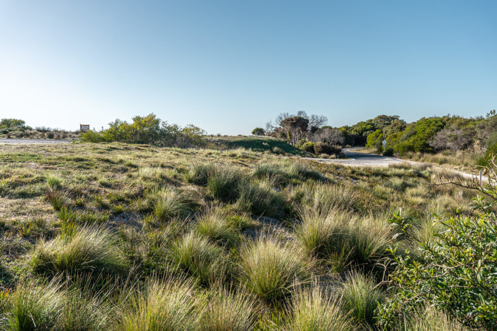 Sold - 9 Beachcomber Place - New Property in Lulworth - Real Estate by Josh Hart