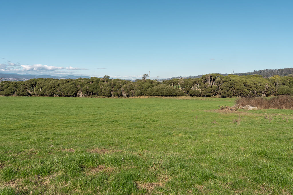 Sold - 10 Lovely Banks Court - New Property in Legana - Real Estate by Josh Hart