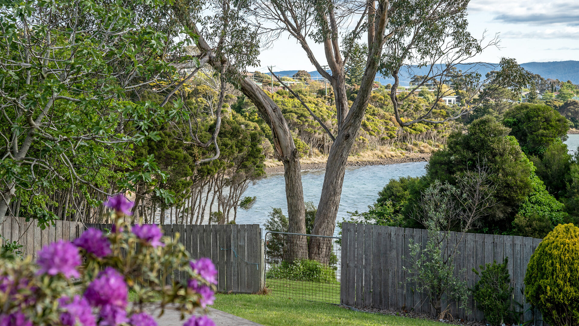 Sold - 14 Reece Street - New Property in George Town - Real Estate by Josh Hart