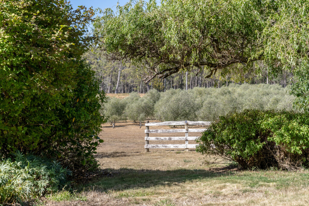 Sold - 2670 West Tamar Highway - New Property in Exeter - Real Estate by Josh Hart