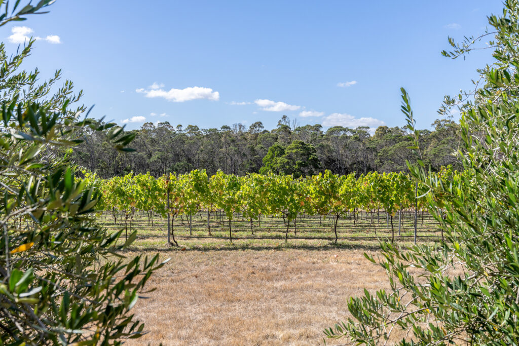 Sold - 2670 West Tamar Highway - New Property in Exeter - Real Estate by Josh Hart