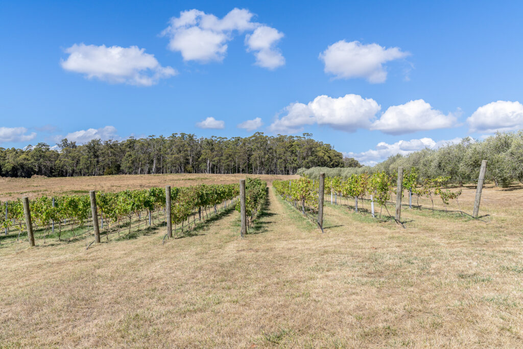 Sold - 2670 West Tamar Highway - New Property in Exeter - Real Estate by Josh Hart