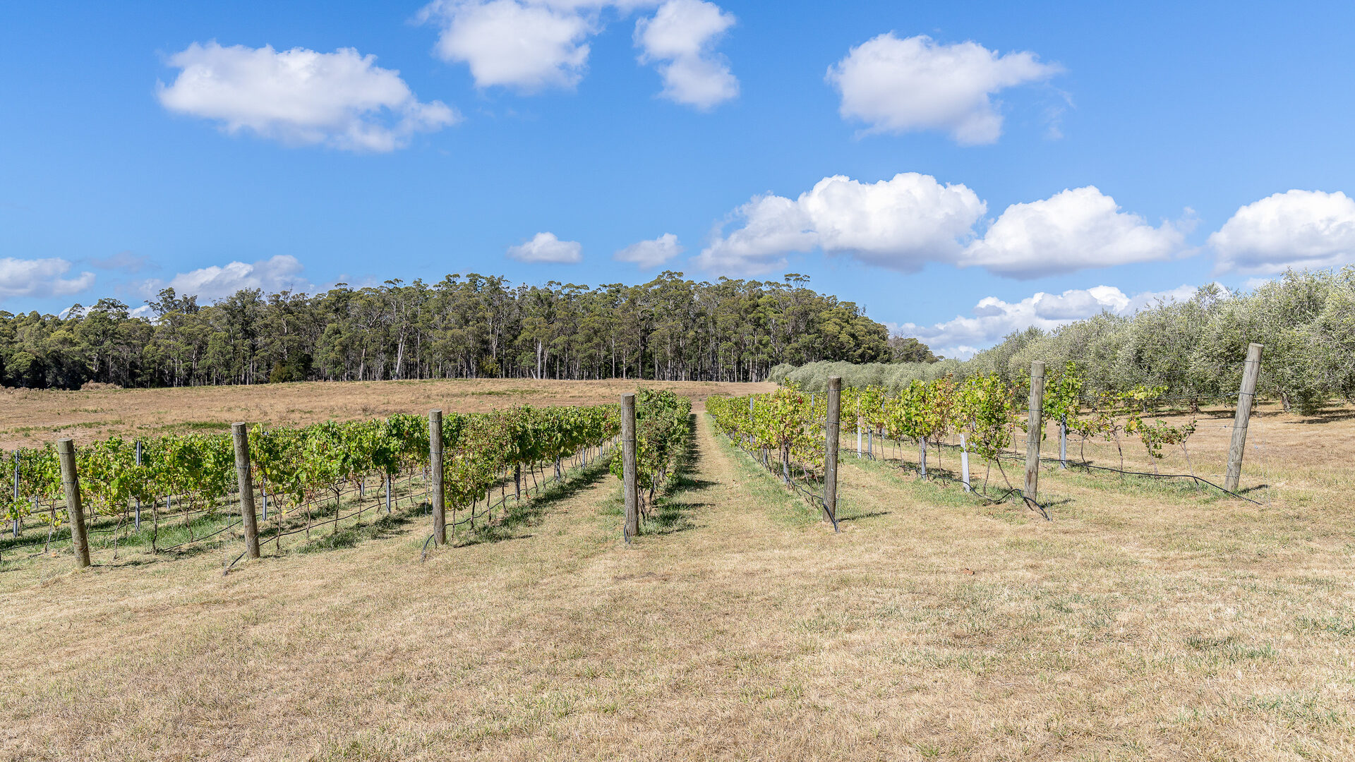 Sold - 2670 West Tamar Highway - New Property in Exeter - Real Estate by Josh Hart