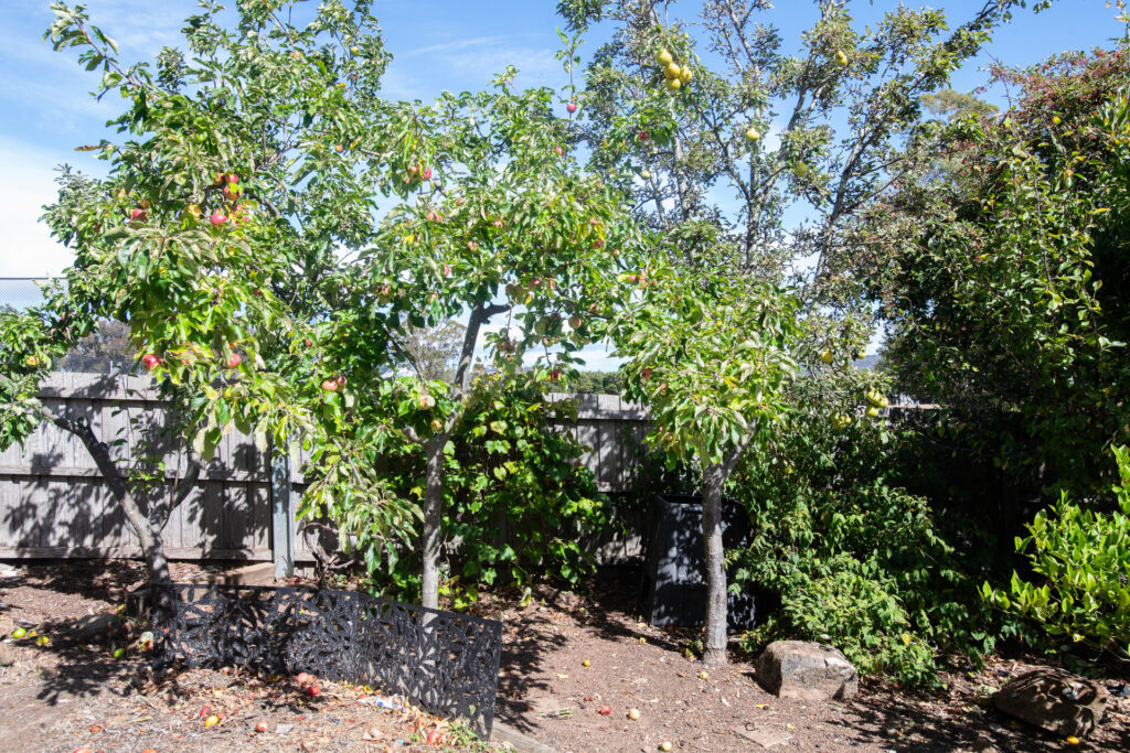 Sold - 3 Saunders Place - New Property in Prospect - Real Estate by Josh Hart