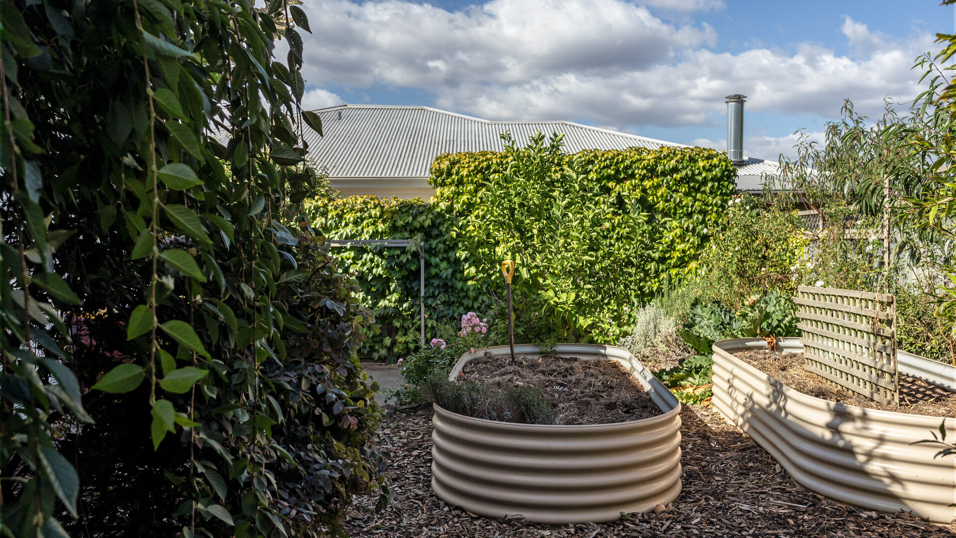 Sold - 65 Campbell Street - New Property in Newstead - Real Estate by Josh Hart