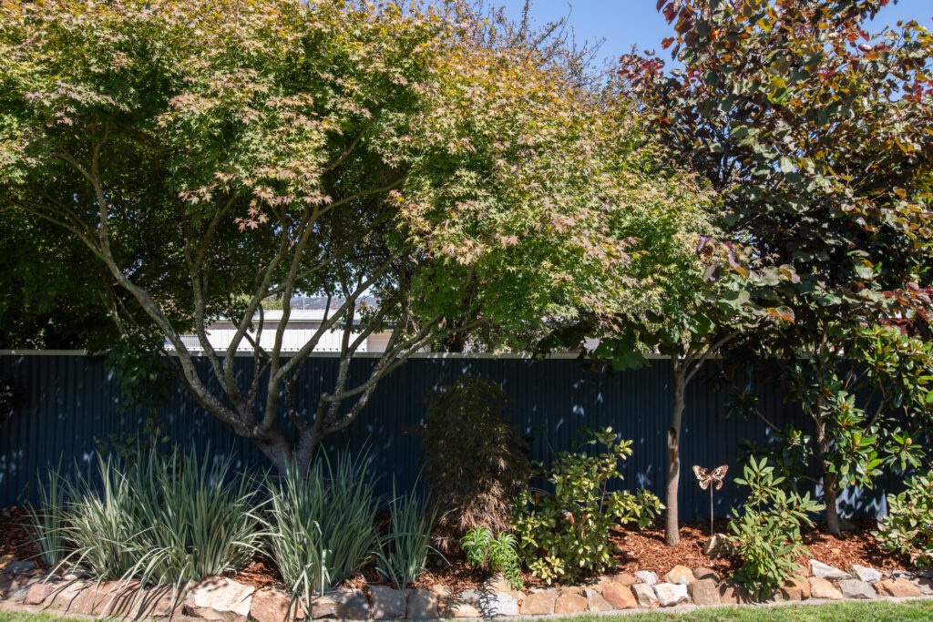 Sold - 26 Janefield Street - New Property in Mowbray - Real Estate by Josh Hart
