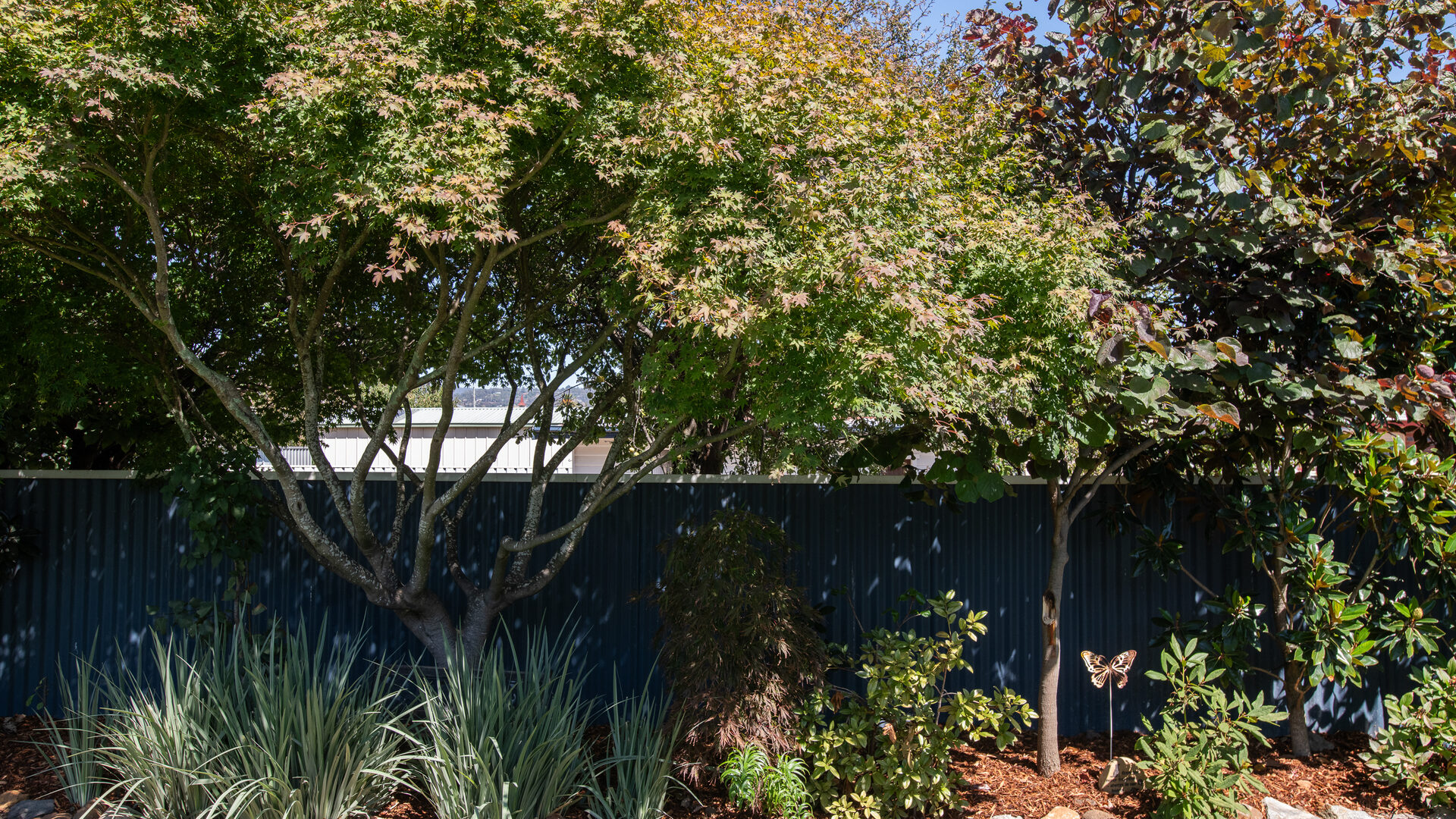 Sold - 26 Janefield Street - New Property in Mowbray - Real Estate by Josh Hart