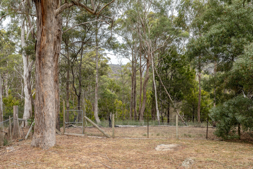 Sold - 33 Dandenong Road - New Property in Trevallyn - Real Estate by Josh Hart