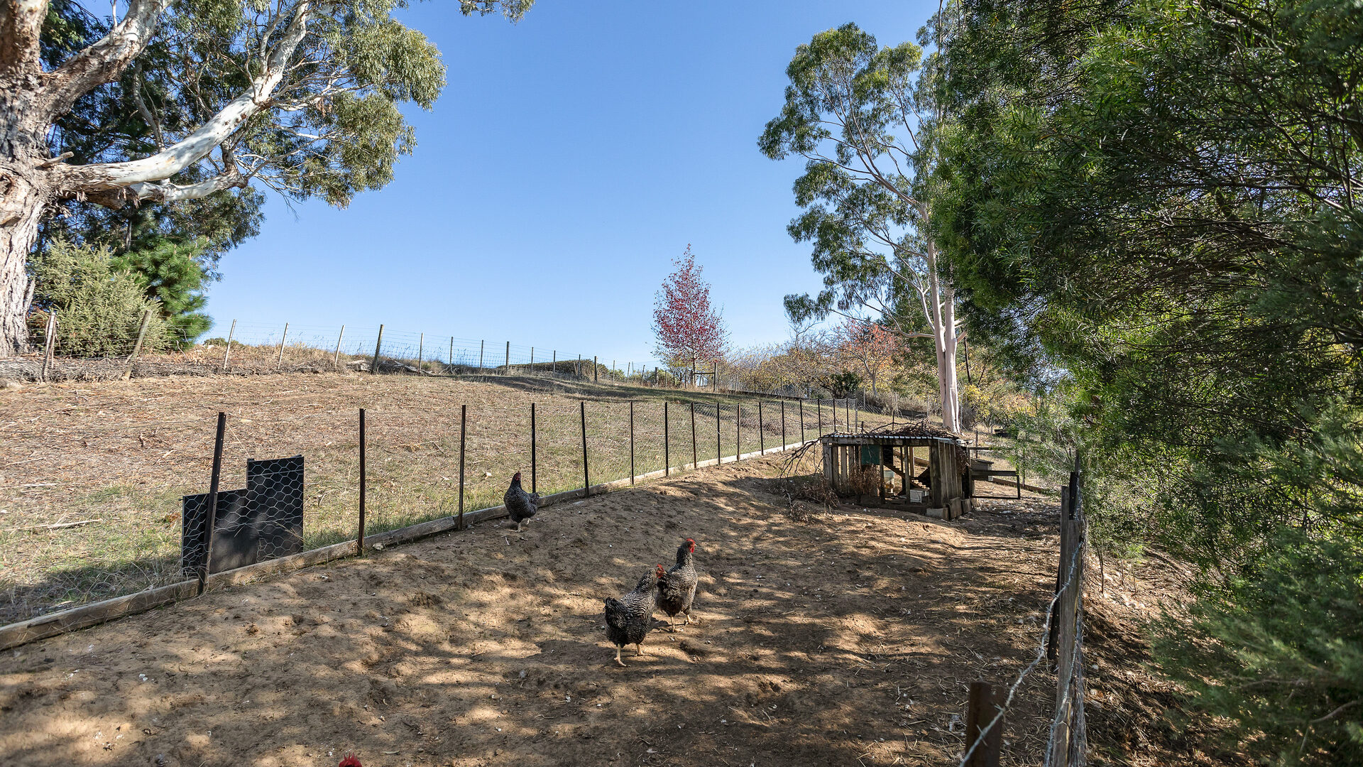 Sold - 13 Orana Place - New Property in Riverside - Real Estate by Josh Hart