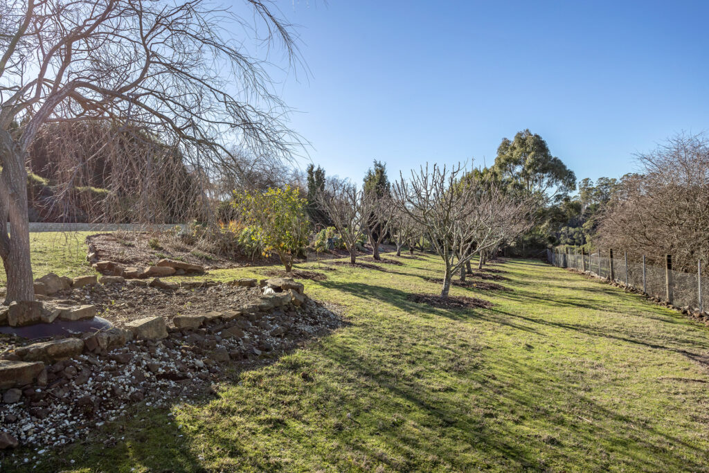 Sold - 14 Skyline Avenue - New Property in Grindelwald - Real Estate by Josh Hart