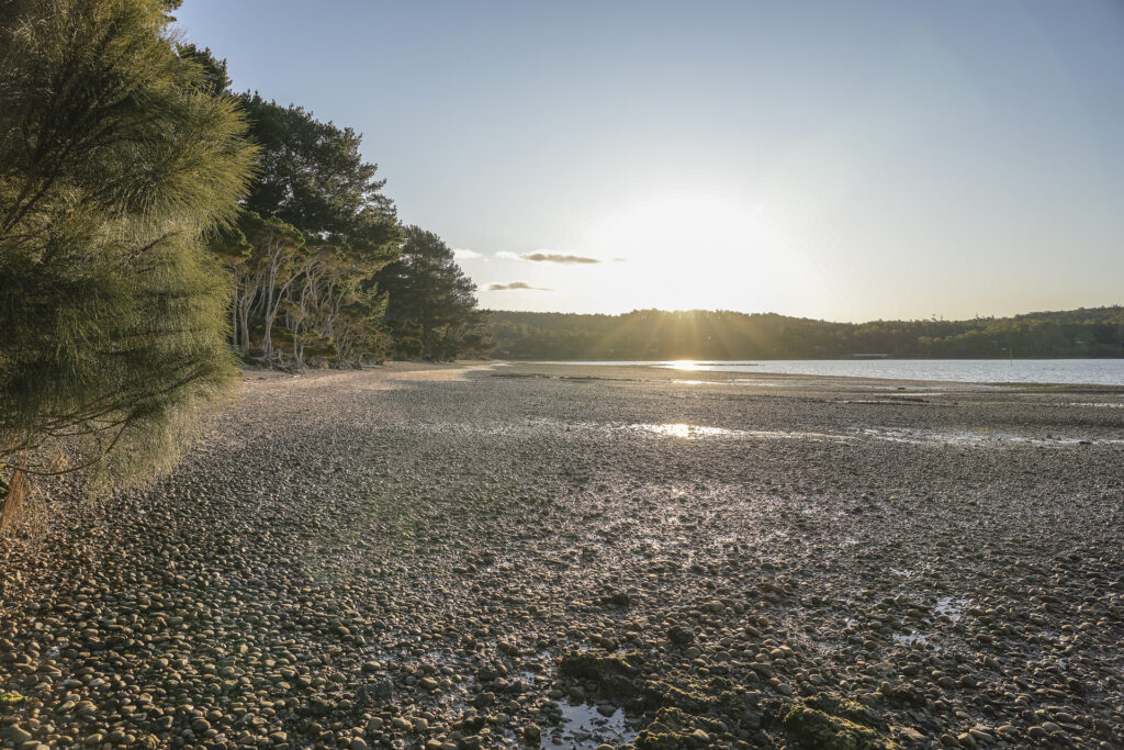 Sold - 141a Paper Beach Road - New Property in Swan Point - Real Estate by Jessica Hogarth