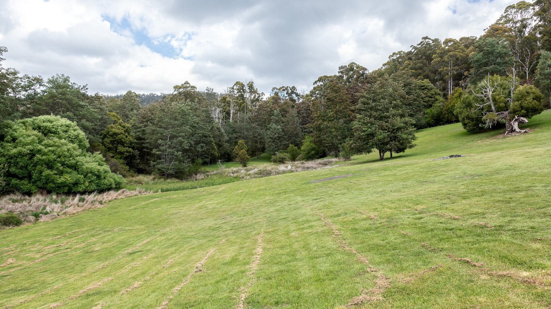 Sold - 127 Waddles Road - New Property in Karoola - Real Estate by Josh Hart