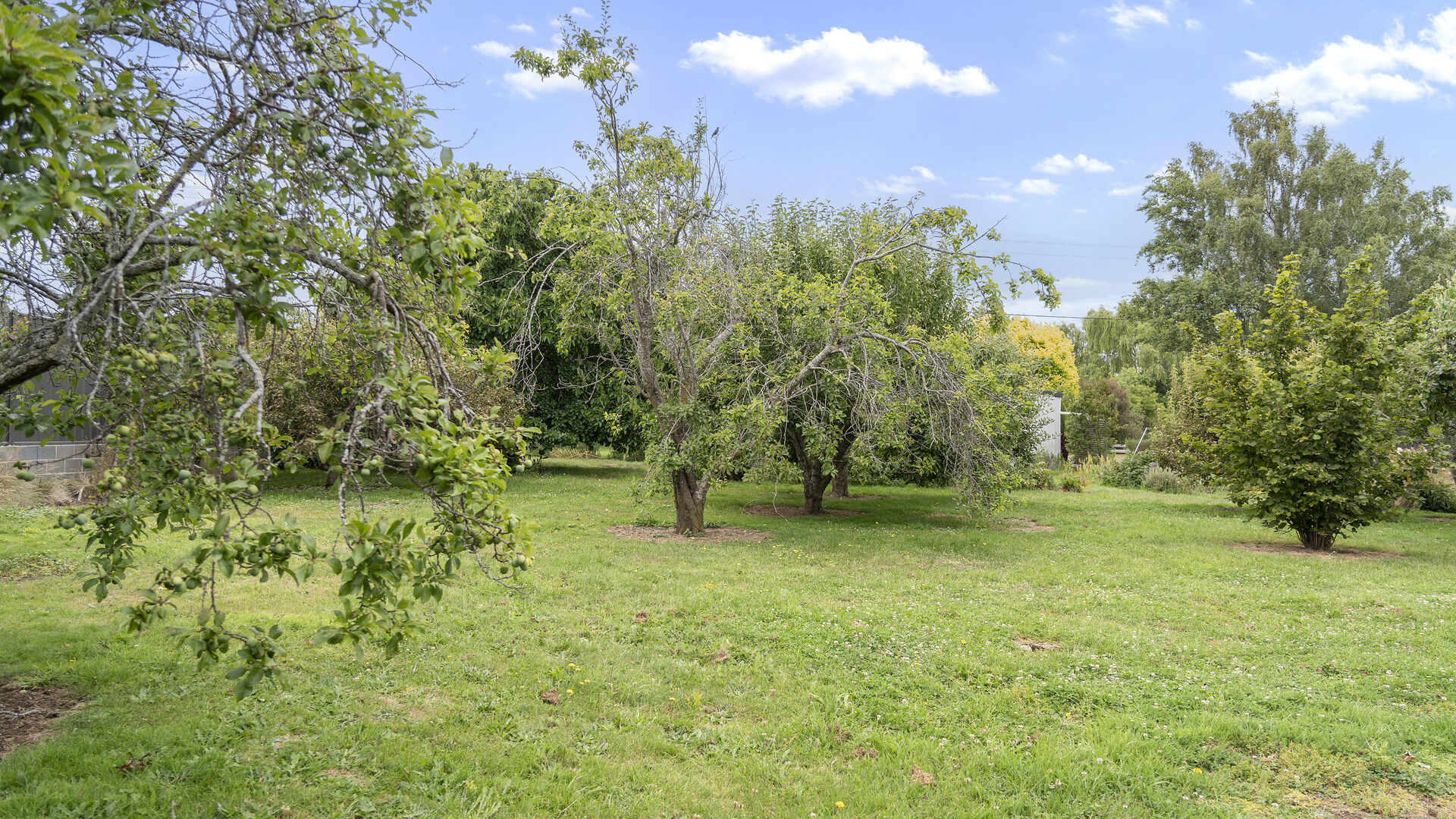 Sold - 139 Dexter Street - New Property in Westbury - Real Estate by Josh Hart