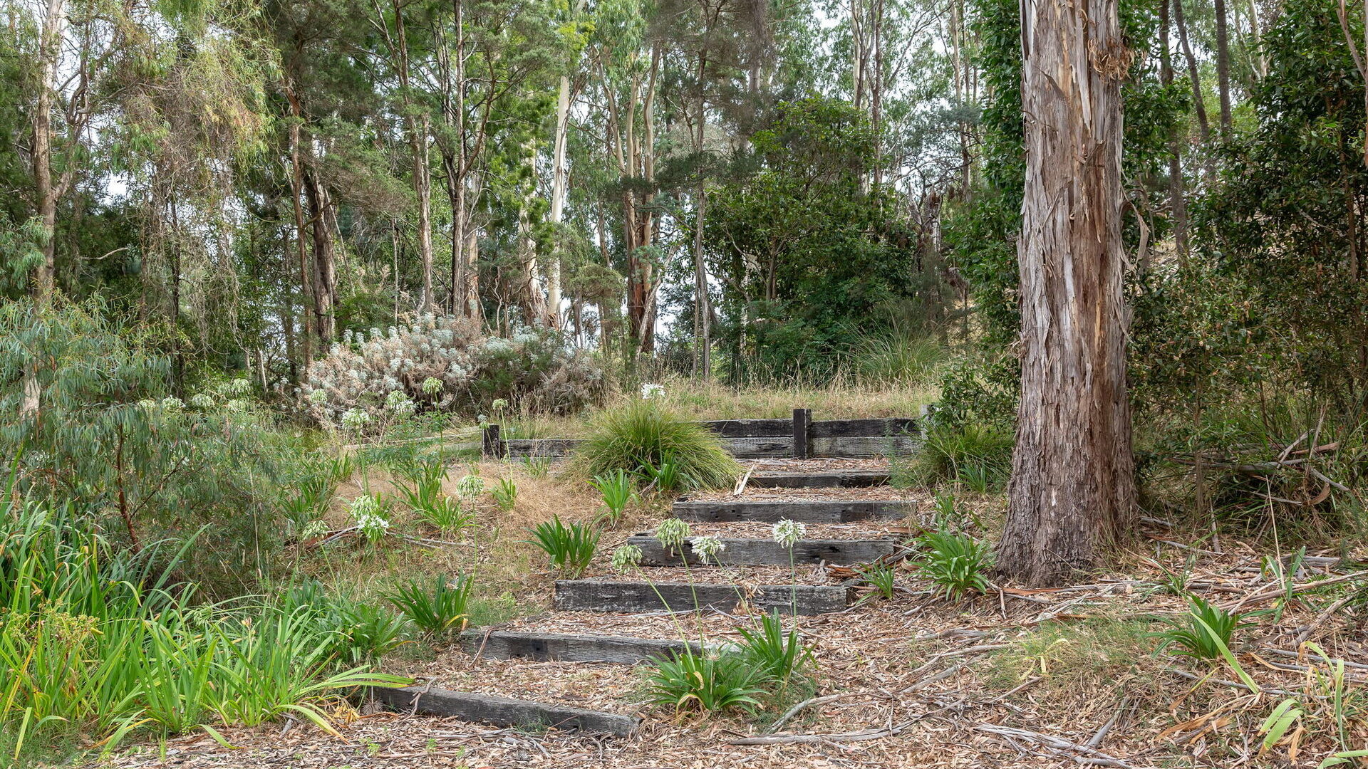 Sold - 19 Swan Point Road - New Property in Swan Point - Real Estate by Josh Hart