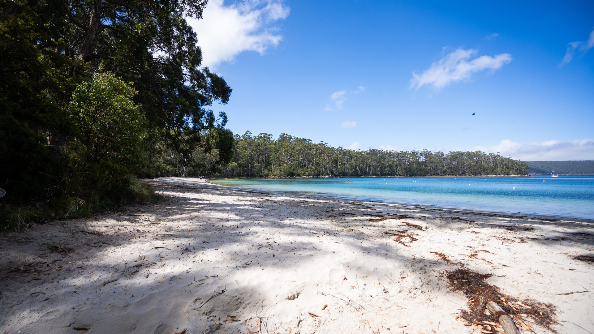 Sold - 3 Stewarts Bay Road - New Property in Port Arthur - Real Estate by Kim Symmons