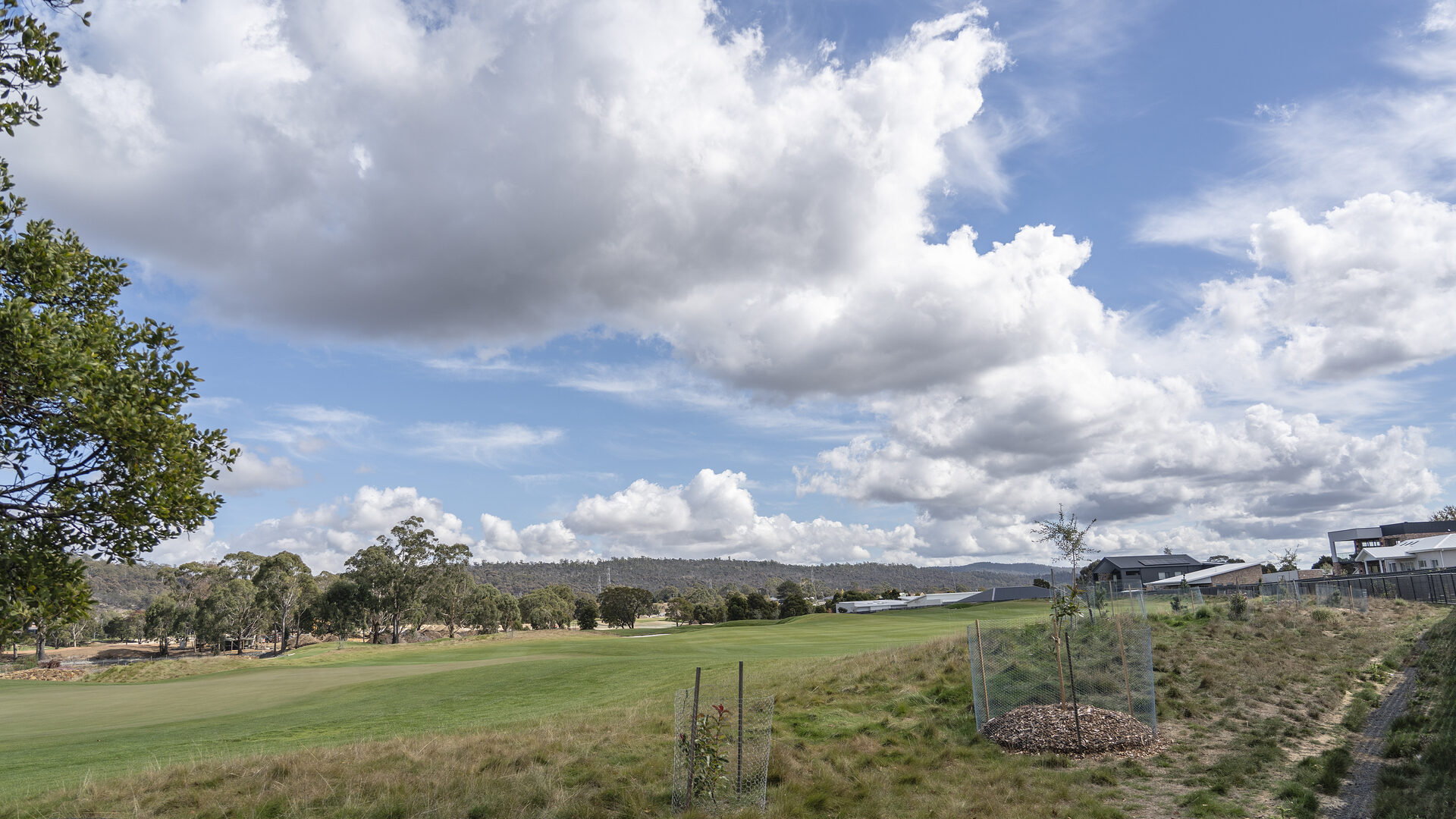 Sold - 67 Country Club Avenue - New Property in Prospect Vale - Real Estate by Josh Hart