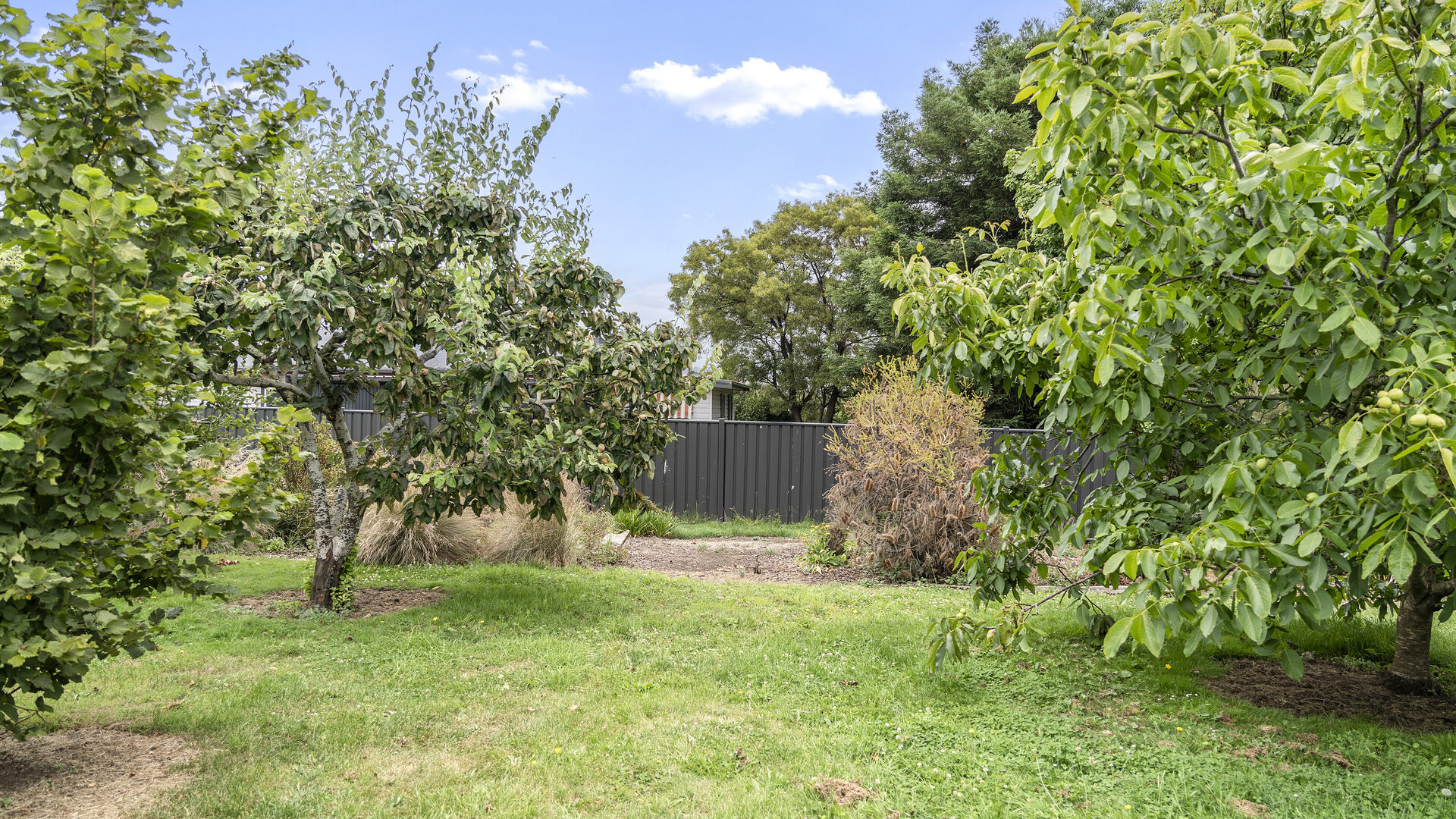 Sold - 141 Dexter Street - New Property in Westbury - Real Estate by Josh Hart