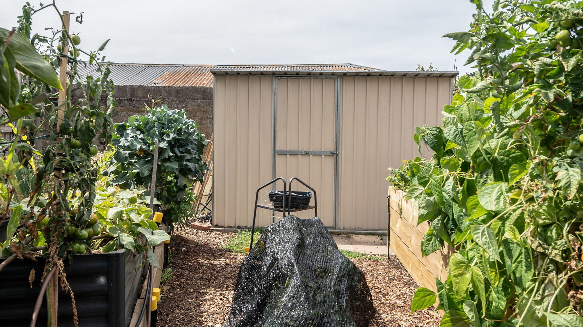 Sold - 64a Pomona Road - New Property in Riverside - Real Estate by Josh Hart
