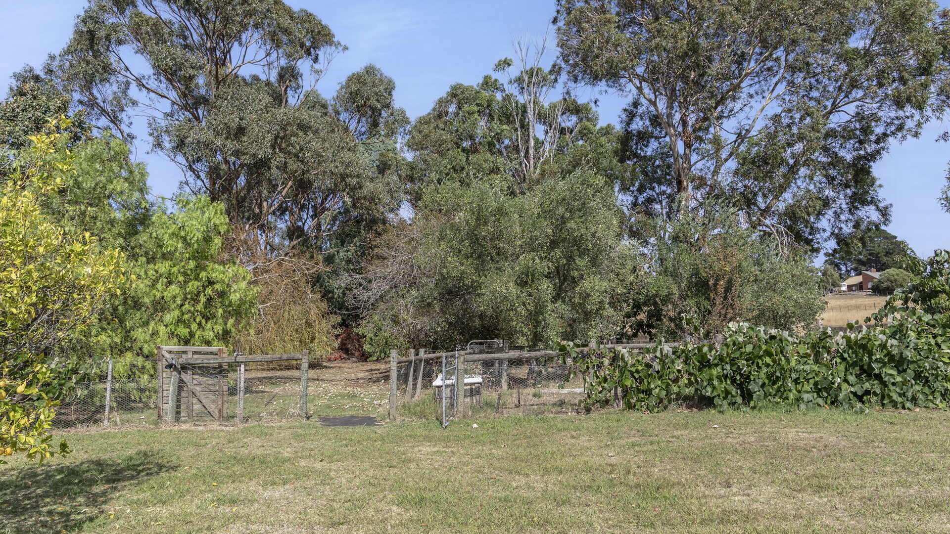 Sold - 207 Rosevears Drive - New Property in Rosevears - Real Estate by Josh Hart
