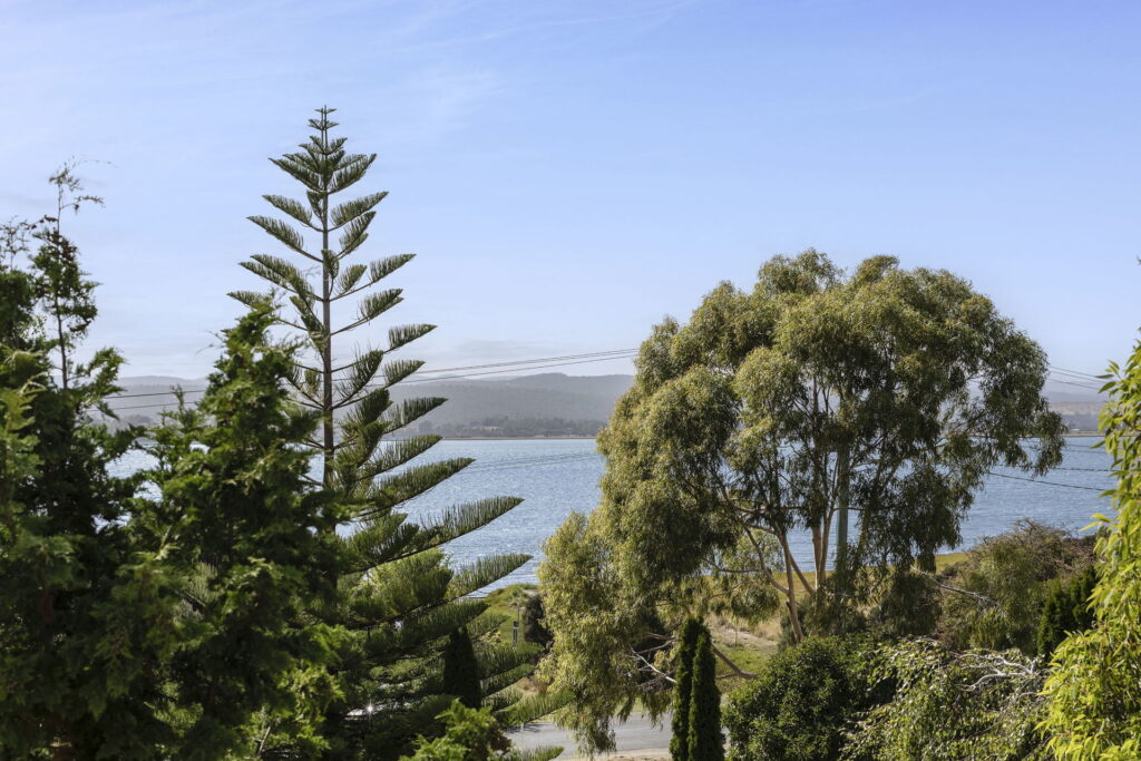Sold - 207 Rosevears Drive - New Property in Rosevears - Real Estate by Josh Hart