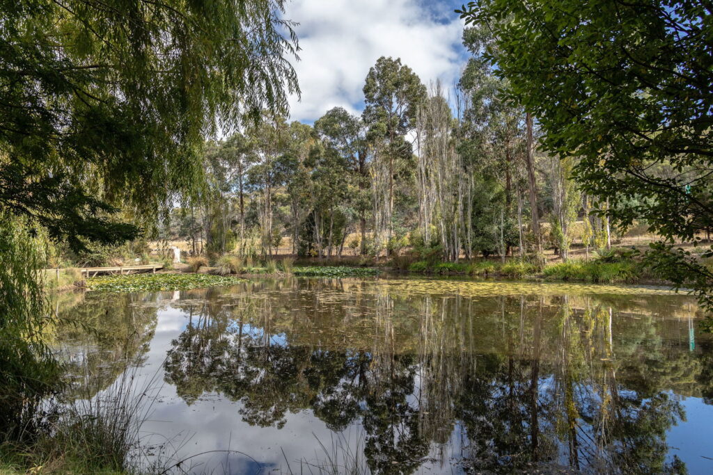 Sold - 227 Meander Valley Road - New Property in Travellers Rest - Real Estate by Josh Hart