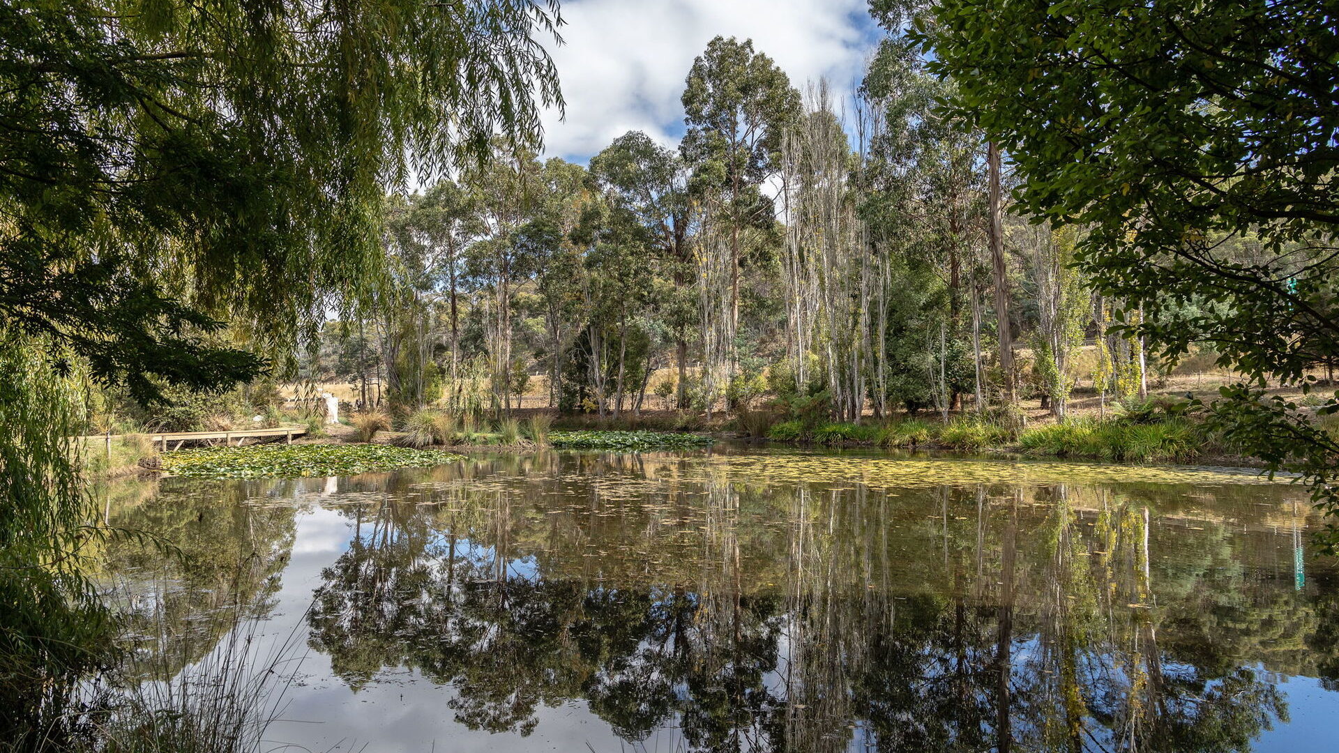 Sold - 227 Meander Valley Road - New Property in Travellers Rest - Real Estate by Josh Hart