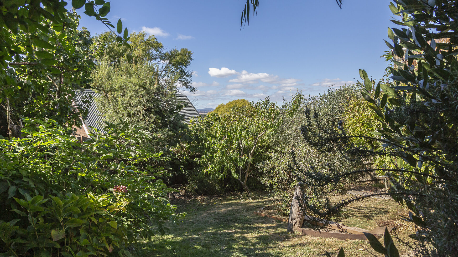 Sold - 5 Batman Avenue - New Property in West Launceston - Real Estate by Harrison Wagner