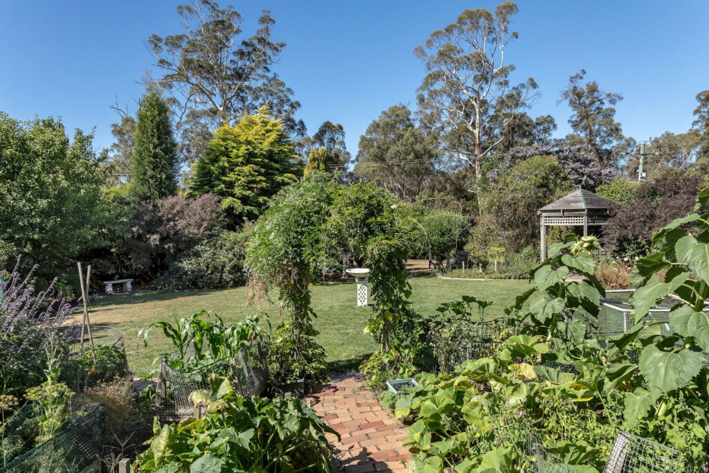 Sold - 19 Jacques Road - New Property in Hillwood - Real Estate by McGrath Launceston