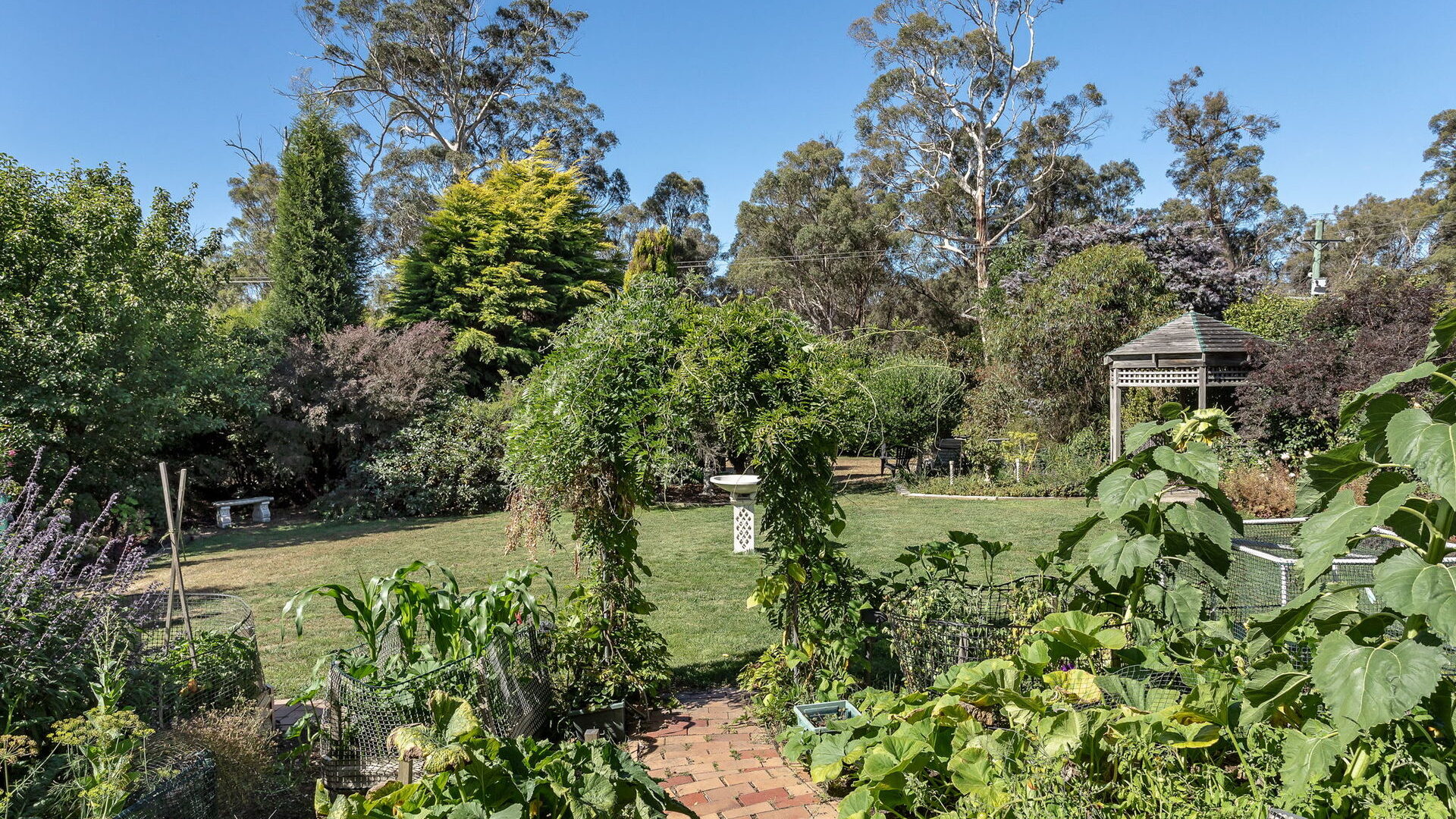 Sold - 19 Jacques Road - New Property in Hillwood - Real Estate by McGrath Launceston