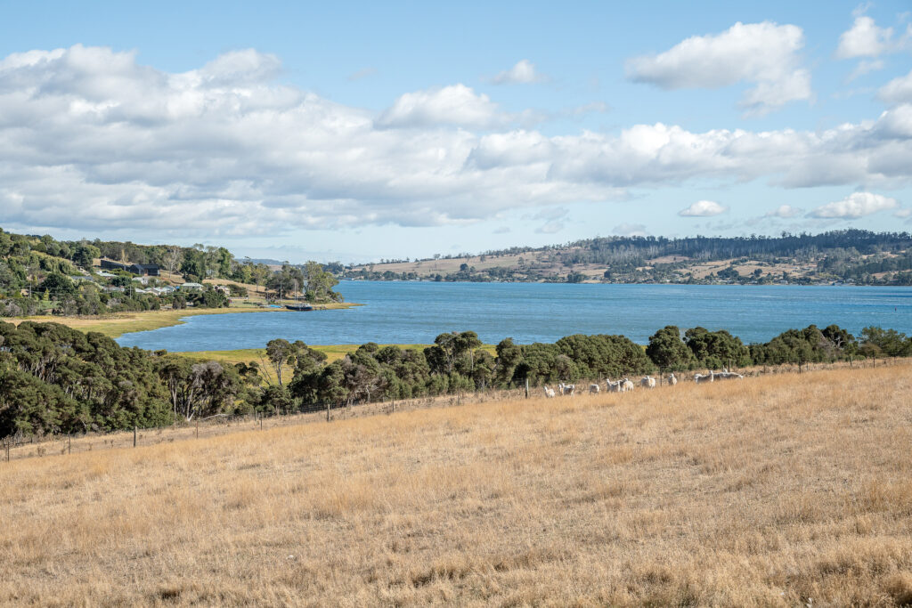 Sold - 49 Ridge Road - New Property in Legana - Real Estate by Josh Hart