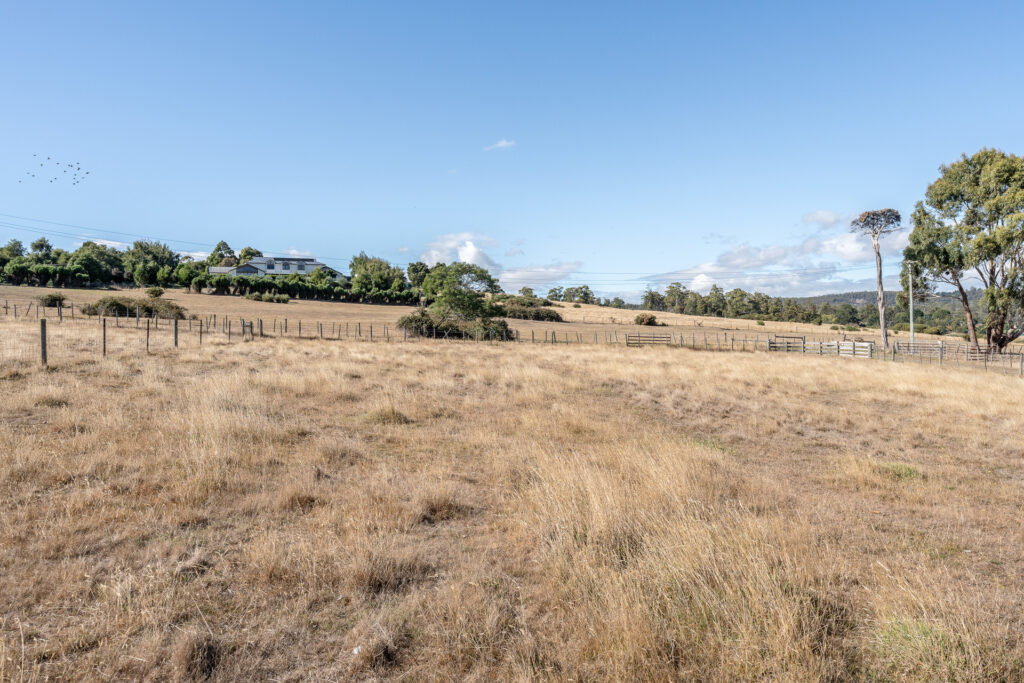 Sold - 49 Ridge Road - New Property in Legana - Real Estate by Josh Hart