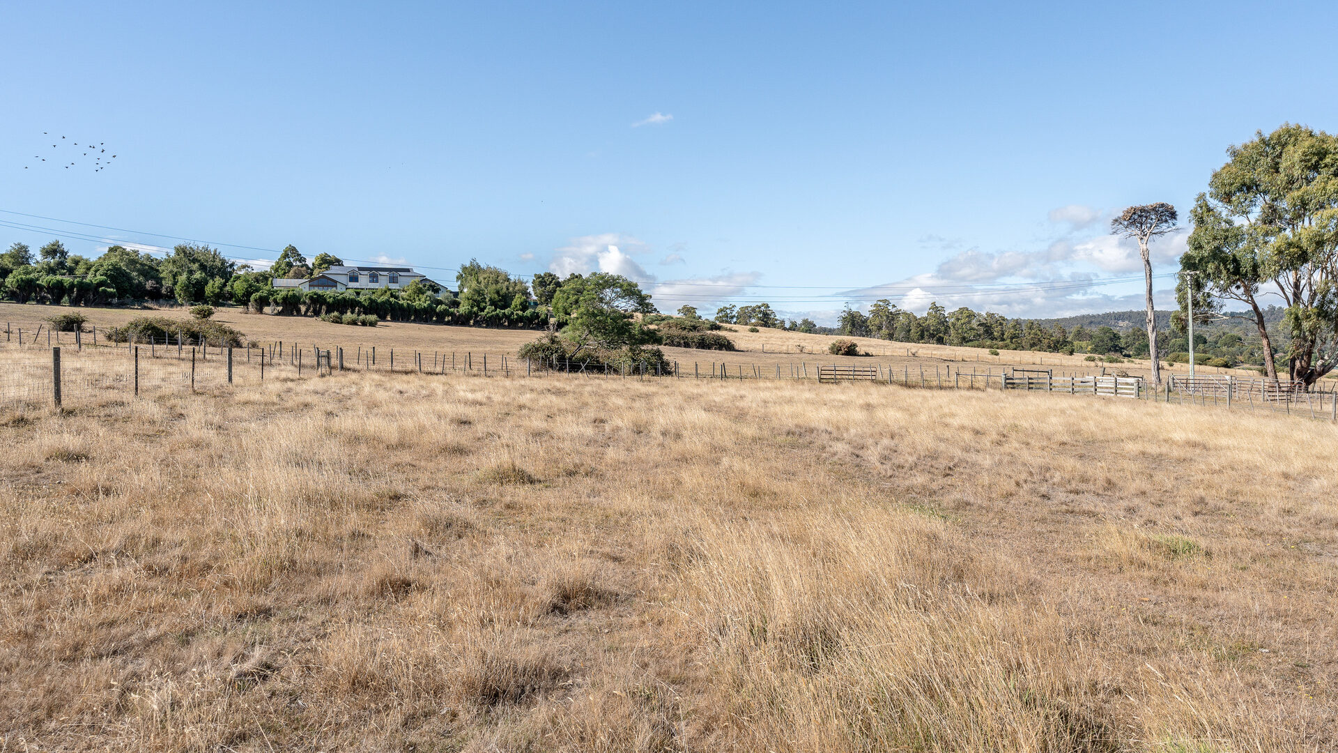 Sold - 49 Ridge Road - New Property in Legana - Real Estate by Josh Hart
