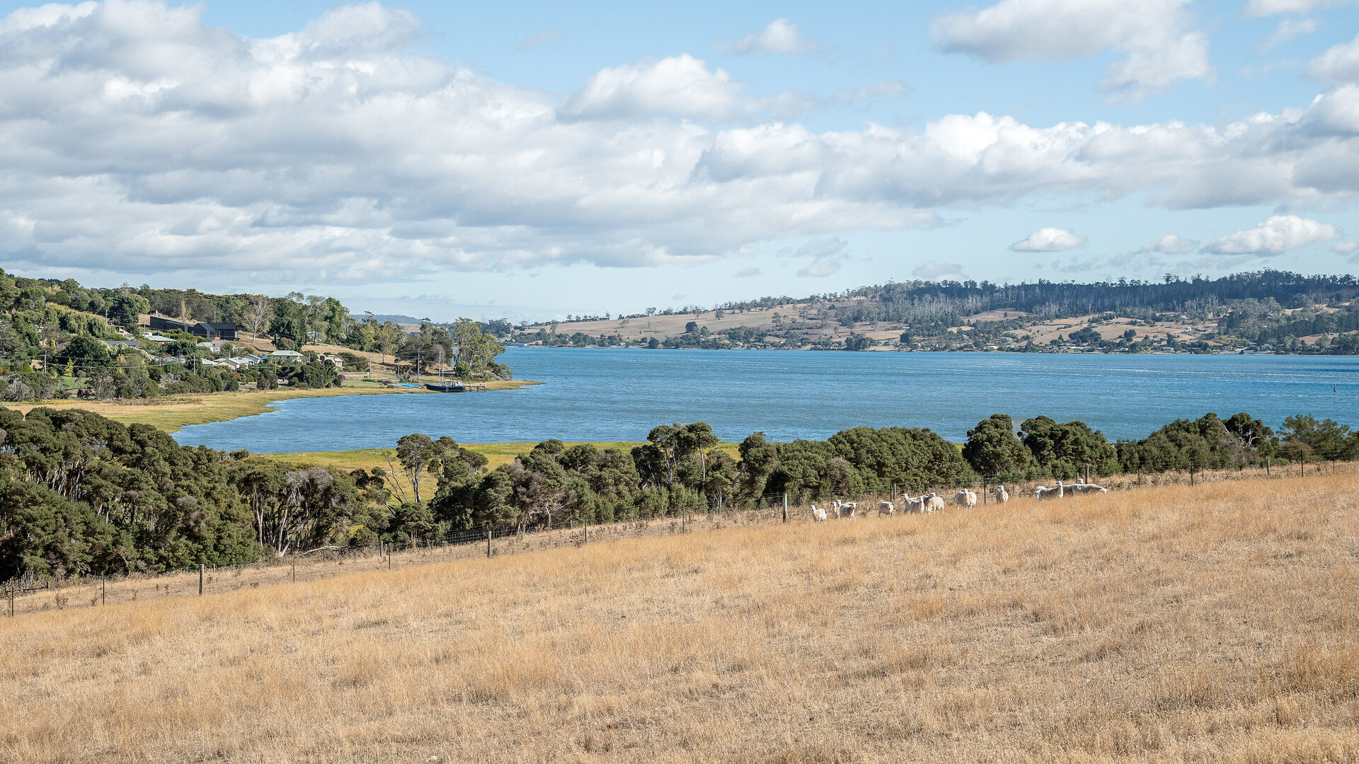 Sold - 49 Ridge Road - New Property in Legana - Real Estate by Josh Hart