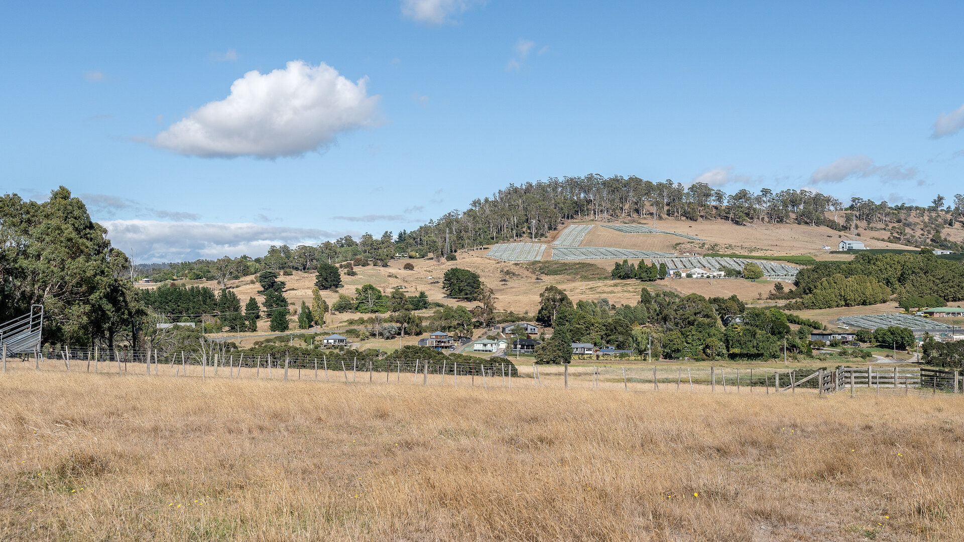 Sold - 49 Ridge Road - New Property in Legana - Real Estate by Josh Hart