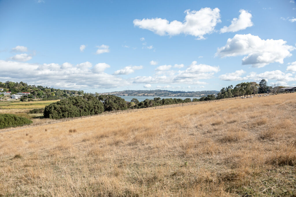 Sold - 49 Ridge Road - New Property in Legana - Real Estate by Josh Hart