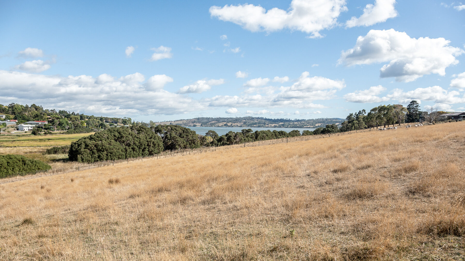 Sold - 49 Ridge Road - New Property in Legana - Real Estate by Josh Hart