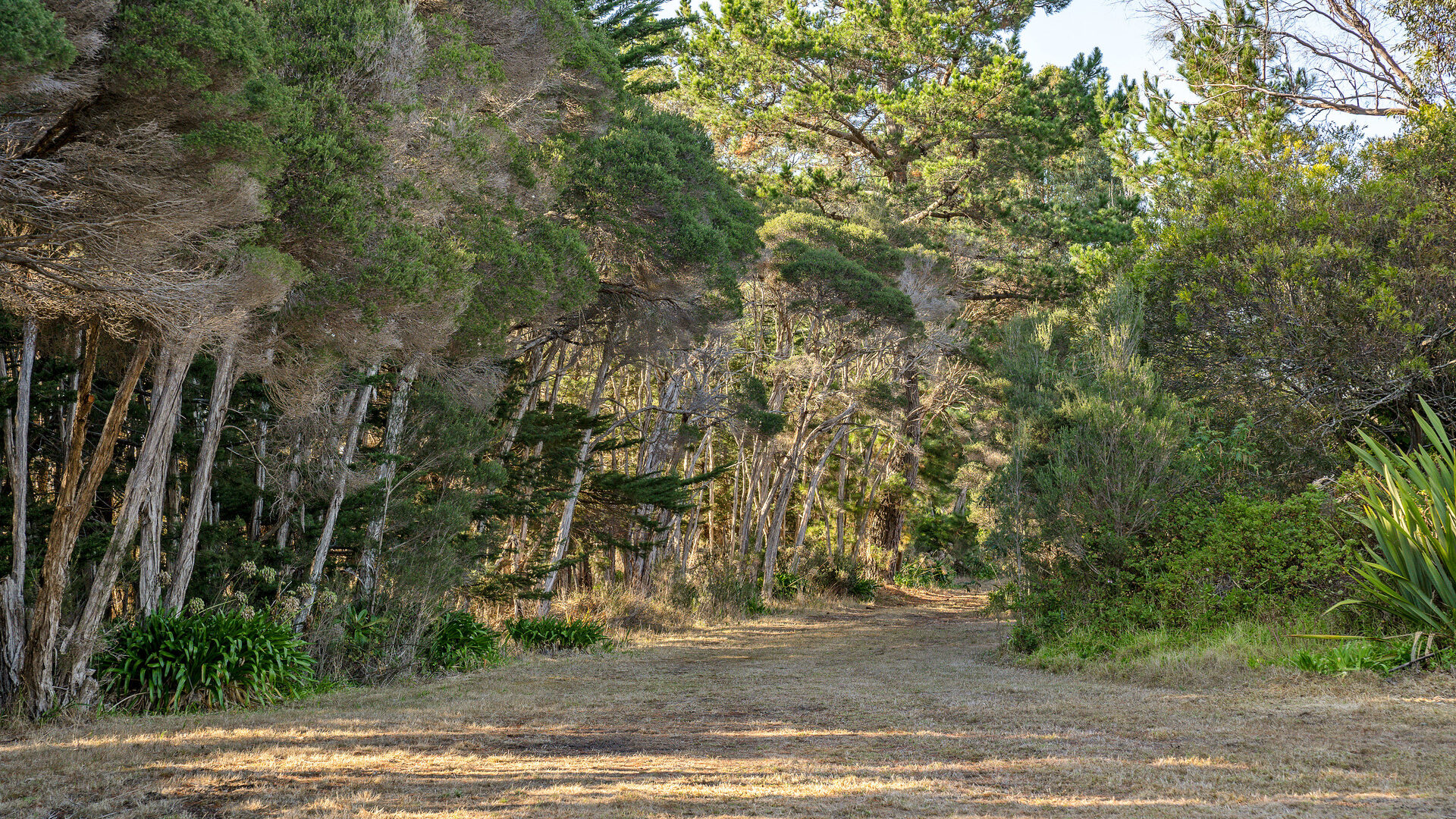 Sold - 121 Bevic Road - New Property in Clarence Point - Real Estate by Josh Hart